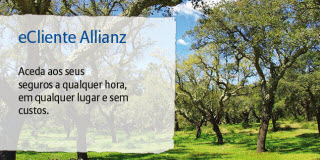 eCliente: Allianz lançou plataforma online de gestão individual de seguros