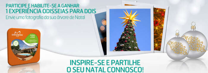 N Seguros promove passatempo com árvore de Natal no facebook